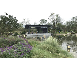 湖畔园林景观中的雅致建筑