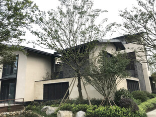 现代风格别墅外观景观