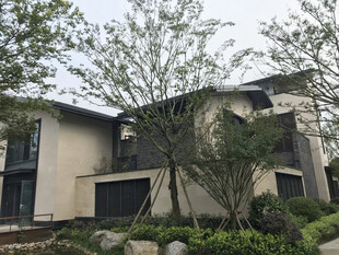 现代风格独栋住宅景观