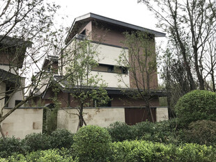 现代风格别墅周边绿植环绕