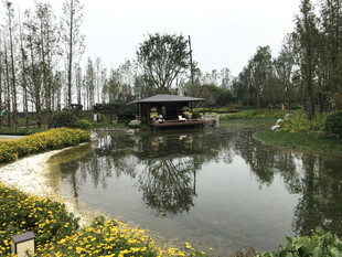 湖畔美景静谧自然风光