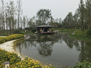 湖畔美景自然风光宜人