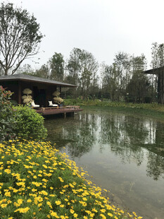 湖畔繁花小船静谧景致