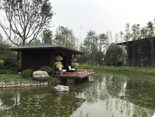 湖畔凉亭中的闲适时光