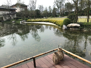 中式园林湖畔木质观景台