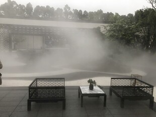 庭院雾景营造诗意氛围