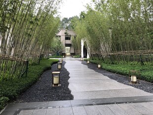 竹林间的幽静庭院小道