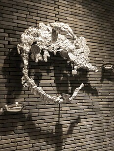 墙上独特的白色艺术造型