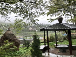 雨中庭院凉亭景致