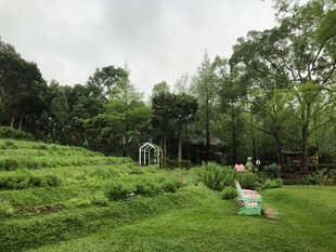 田园绿野中的自然景致