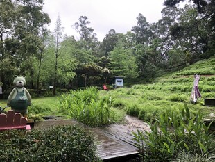 绿意盎然的户外园林景观