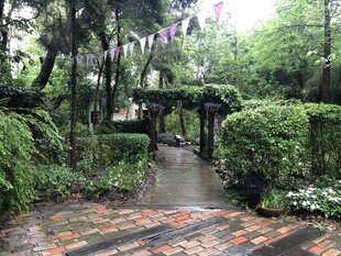 雨中静谧的花园小径