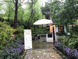 花园中的白色遮阳伞景观