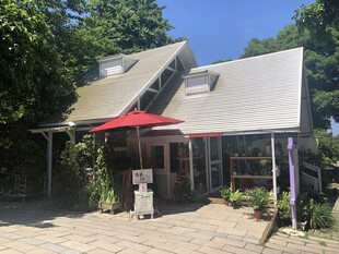 乡村小屋惬意庭院生活