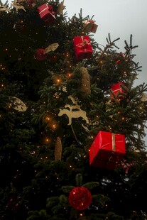 装饰精美的圣诞树