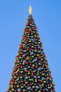 装饰精美的彩色圣诞树