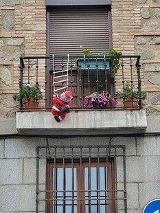 鲜花装点的温馨阳台