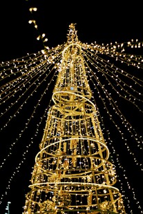 璀璨灯光装饰的高大圣诞树