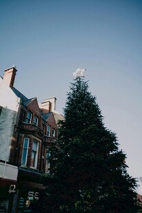 英式建筑旁的高大松树