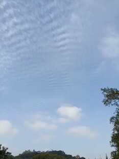 蓝天白云下的自然景致