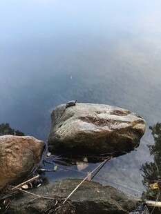 湖边巨石垂钓景象