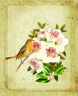 花鸟图绘 复古风艺术插画