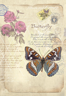 复古风蝴蝶花卉装饰画
