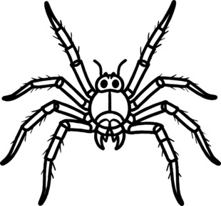 蜘蛛形象