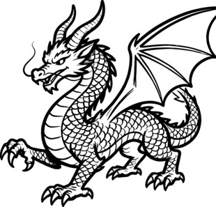 黑白飞龙插画