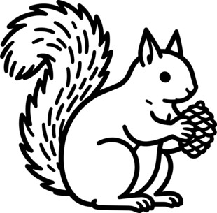 松鼠捧松果简笔画