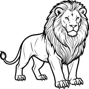 站立的雄狮黑白线条画