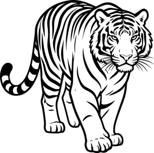 黑白线条老虎图案