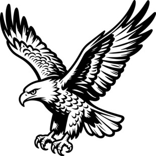 展翅雄鹰图案设计