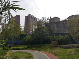 城市中绿意环绕的建筑景观