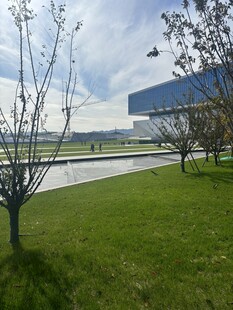 户外草坪旁的树木与建筑