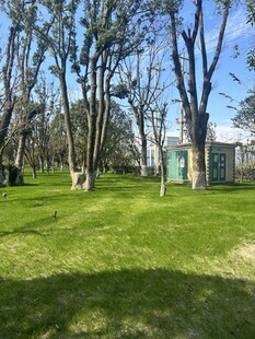 户外绿意盎然的休闲草坪