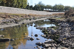 干涸河道中的零星石块