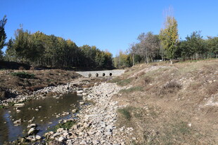 秋日溪边荒野风景