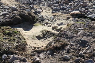 岩石间的沙地景观