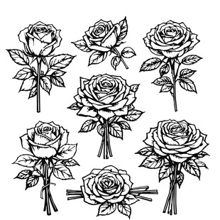 手绘线条风格的多姿态玫瑰