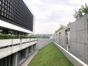 现代建筑旁的狭长绿植景观