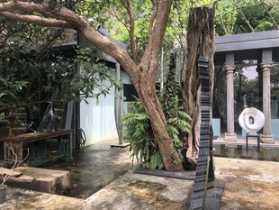 庭院中的绿植与水景景观