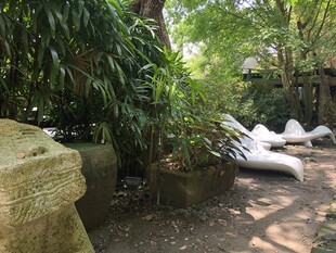 庭院绿植与休闲躺椅景观