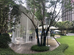 城市中静谧的绿植喷泉景观