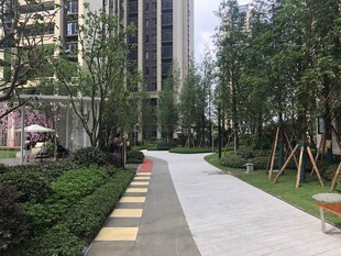 城市林荫步道景观