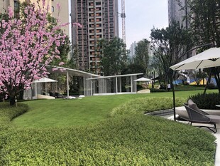 城市中的静谧花园美景