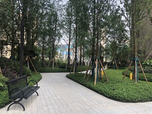 宁静宜人的公园休闲小径