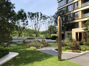 现代小区景观绿化一角