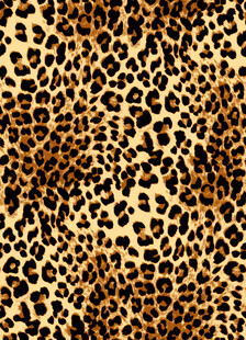 豹纹图案背景纹理