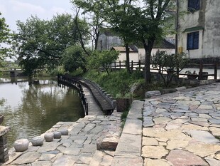 河畔石径旁的静谧景致